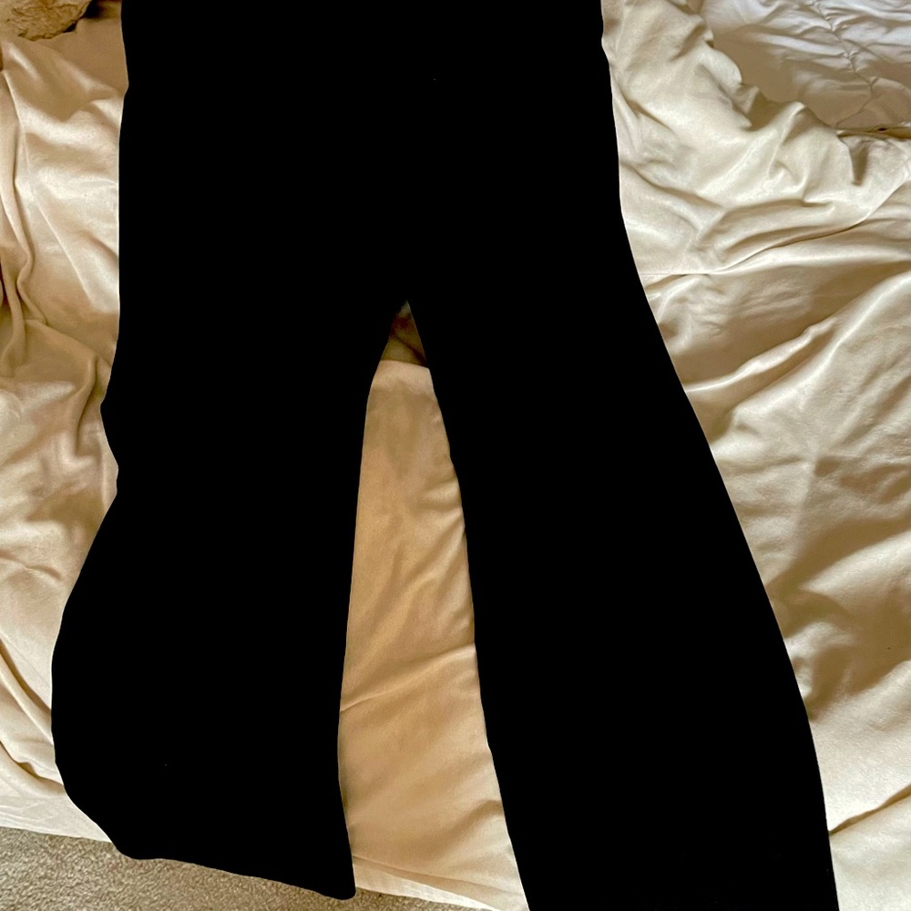 Express dress pants